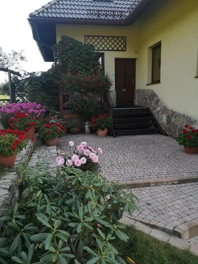 Villa Wichrowe Wzgorze à Stronie Śląskie Extérieur photo