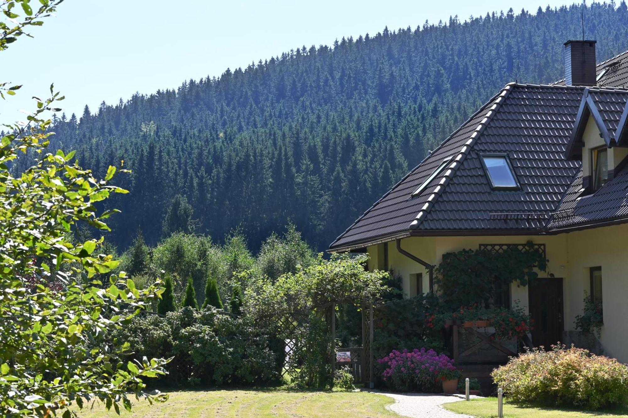 Villa Wichrowe Wzgorze à Stronie Śląskie Extérieur photo