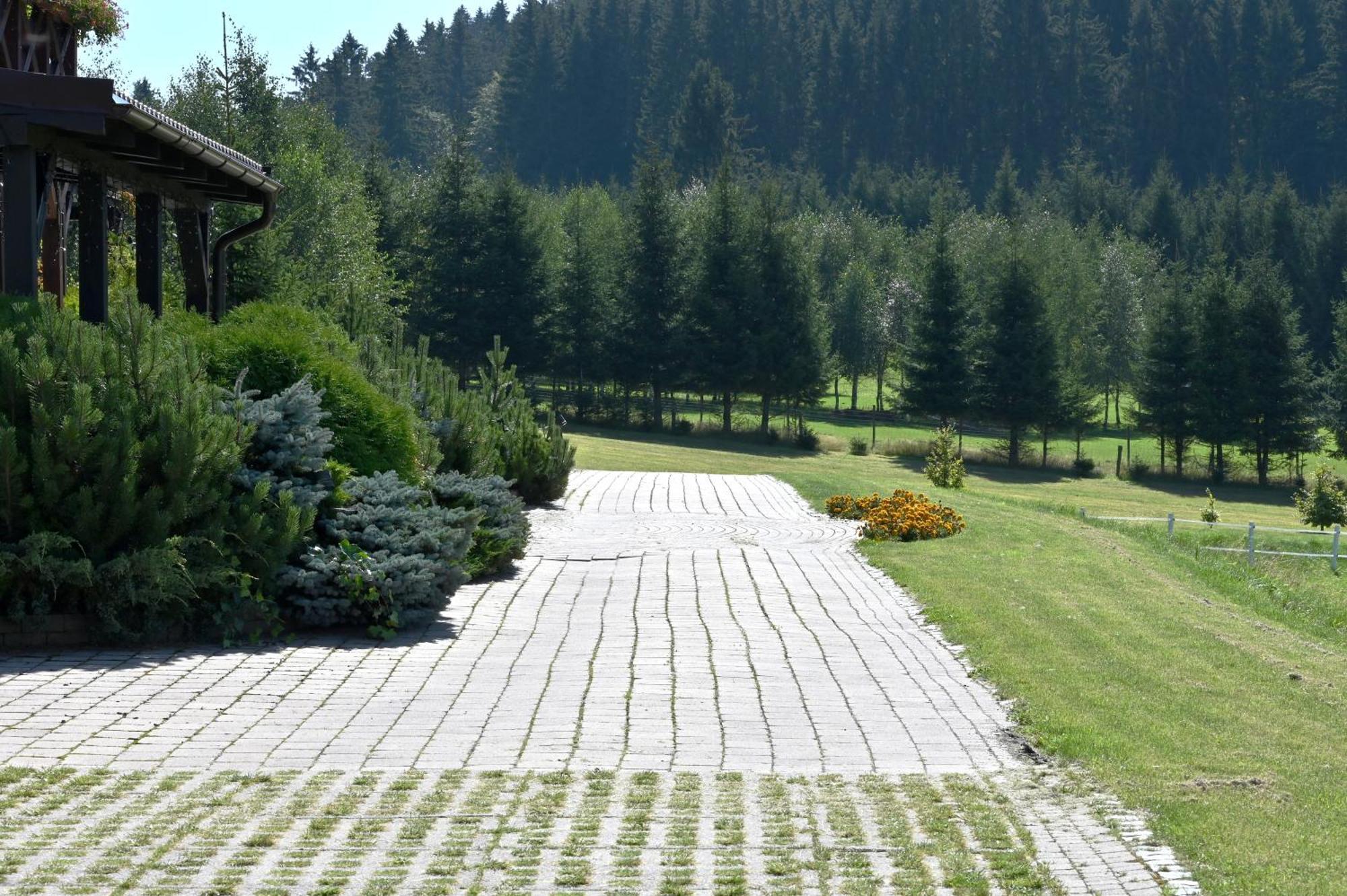 Villa Wichrowe Wzgorze à Stronie Śląskie Extérieur photo