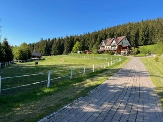 Villa Wichrowe Wzgorze à Stronie Śląskie Extérieur photo