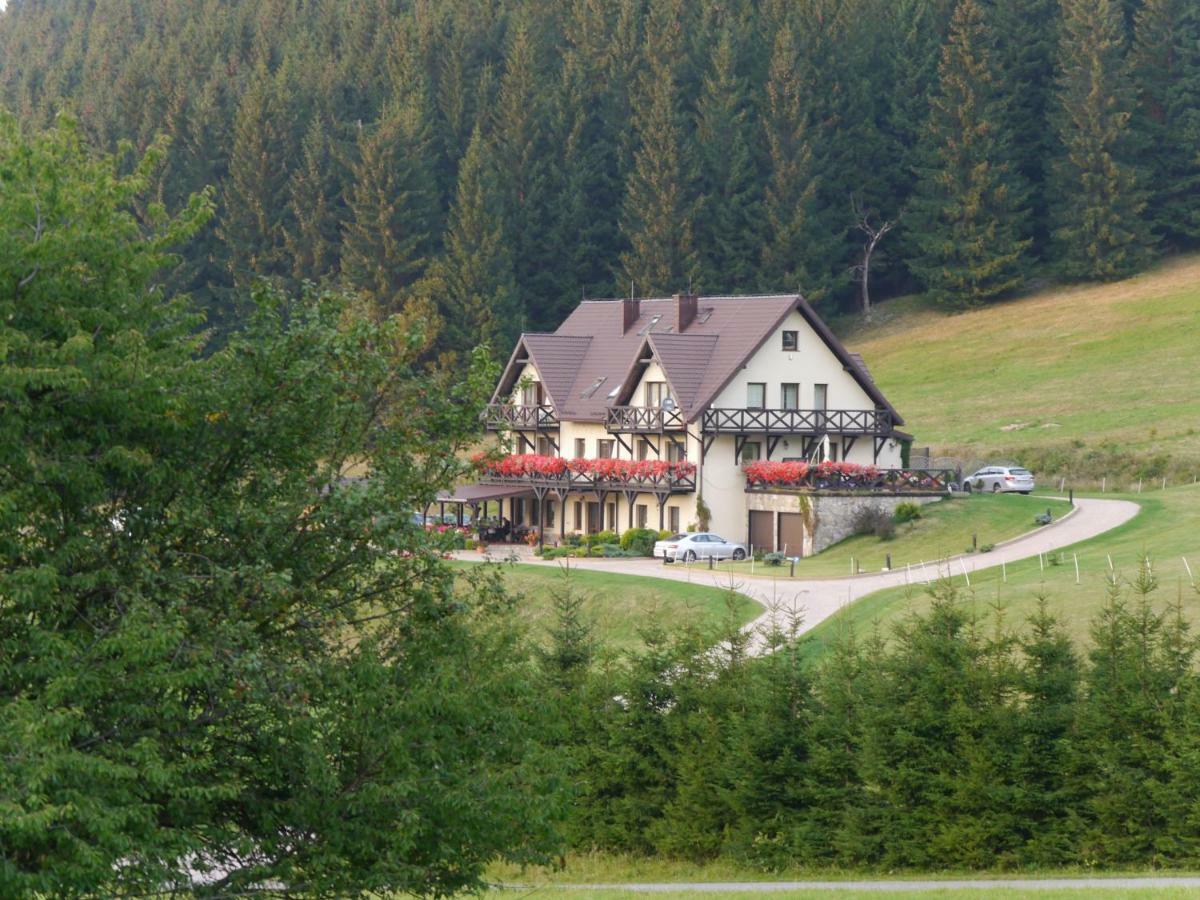 Villa Wichrowe Wzgorze à Stronie Śląskie Extérieur photo
