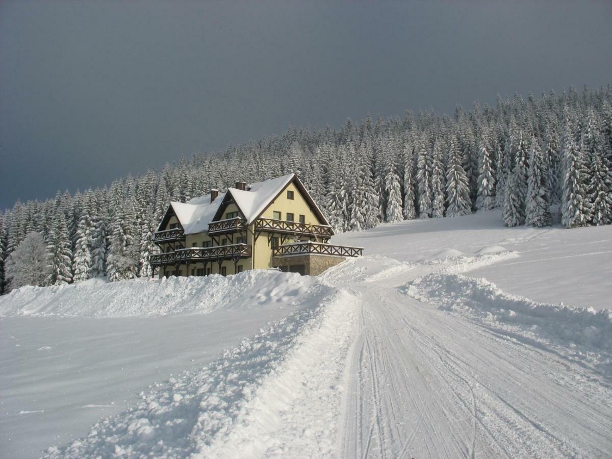 Villa Wichrowe Wzgorze à Stronie Śląskie Extérieur photo